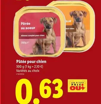 Promotion Exclusives de 34
Pour chien : Découvrez l'Offre incontournable