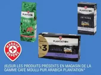 Promotion Exclusives de 11
Arabica : Découvrez l'Offre incontournable