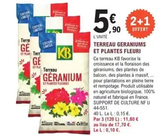 Promotion Exclusives de 32
Plantes : Découvrez l'Offre incontournable