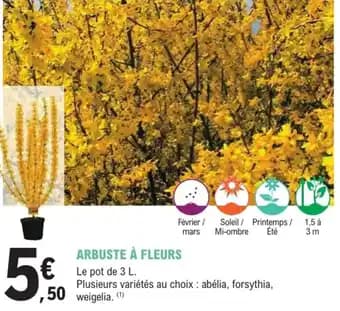 Promotion Exclusives de 3
Arbuste à fleurs : Découvrez l'Offre incontournable