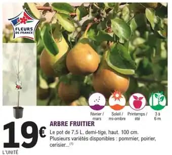 Promotion Exclusives de 8
Arbre : Découvrez l'Offre incontournable