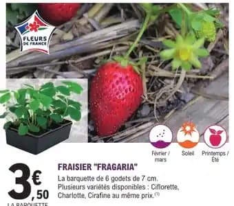 Promotion Exclusives de 3
Fraisier : Découvrez l'Offre incontournable