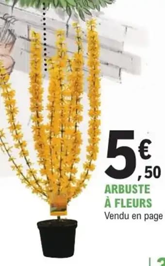 Arbuste à fleurs