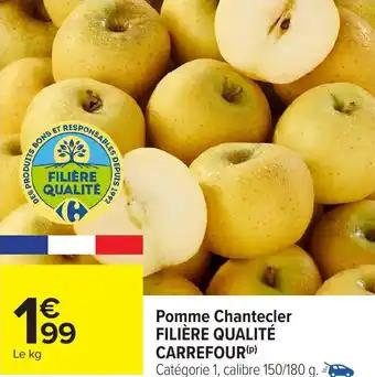 Promotion Exclusives de Pomme chantecler : Découvrez l'Offre incontournable