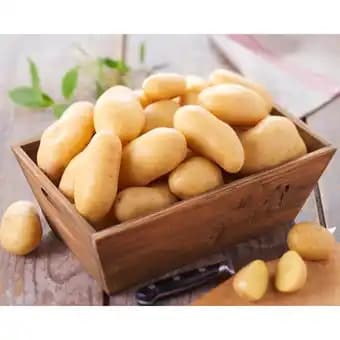 Promotion Exclusives de 93
Pommes : Découvrez l'Offre incontournable