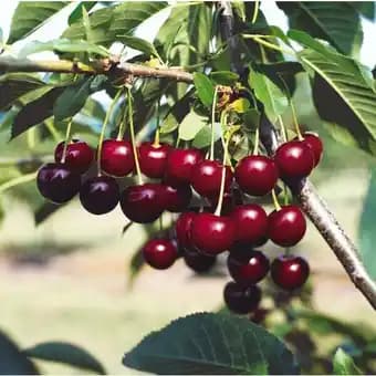 Promotion Exclusives de 4
            
        
        Motte : Découvrez l'Offre incontournable