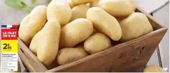 Pommes de terre de consommation