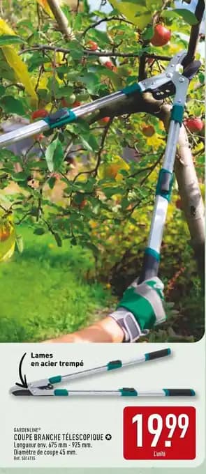 Promotion Exclusives de 60
Coupe : Découvrez l'Offre incontournable