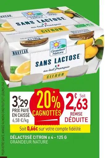 GRANDEUR NATURE Délactosé citron