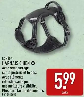Promotion Exclusives de 3
            
        
        Harnais : Découvrez l'Offre incontournable