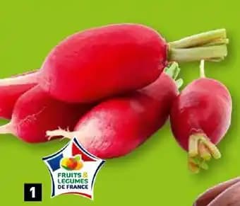 Promotion Exclusives de 1
            
        
        Radis : Découvrez l'Offre incontournable