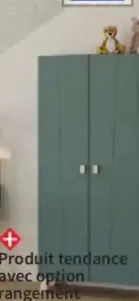 Armoire 2 portes Forest