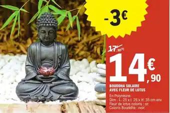 Bouddha solaire avec fleur de lotus