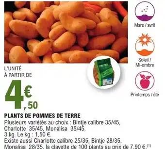 Promotion Exclusives de 17
Plants : Découvrez l'Offre incontournable
