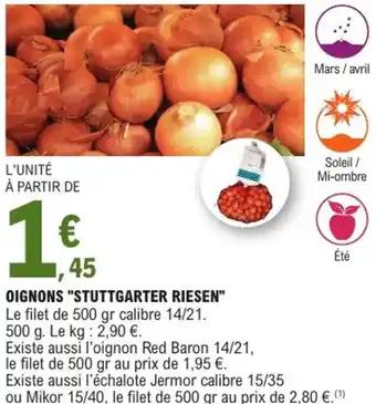 Oignons "stuttgarter riesen"