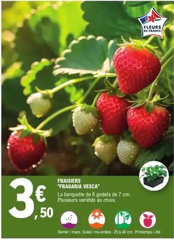 Promotion Exclusives de 8
Fraisiers : Découvrez l'Offre incontournable