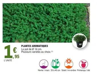 Promotion Exclusives de 9
Plantes aromatiques : Découvrez l'Offre incontournable