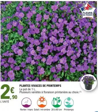 Promotion Exclusives de 7
Plantes vivaces : Découvrez l'Offre incontournable