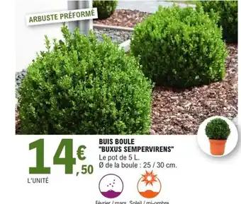 Promotion Exclusives de 4
Buis boule : Découvrez l'Offre incontournable