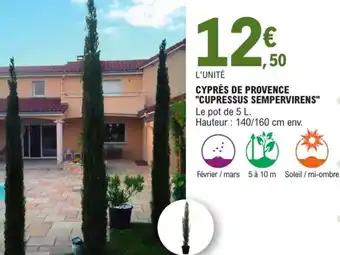 Promotion Exclusives de 1
Cyprès provence : Découvrez l'Offre incontournable