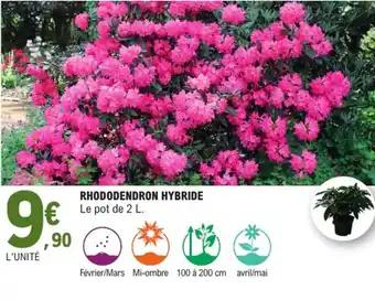 Promotion Exclusives de 12
Hybride : Découvrez l'Offre incontournable