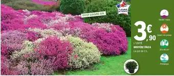 Promotion Exclusives de 19
Bruyère : Découvrez l'Offre incontournable