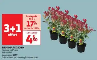 Promotion Exclusives de 2
Photinia : Découvrez l'Offre incontournable
