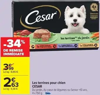 Promotion Exclusives de 12
Chiens : Découvrez l'Offre incontournable