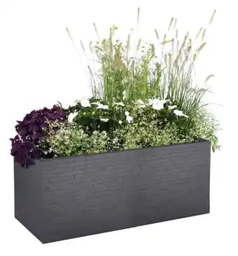 Promotion Exclusives de 20
Jardinière : Découvrez l'Offre incontournable