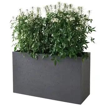 Promotion Exclusives de 10
Décoratif : Découvrez l'Offre incontournable