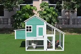 Promotion Exclusives de 8
Poulailler : Découvrez l'Offre incontournable