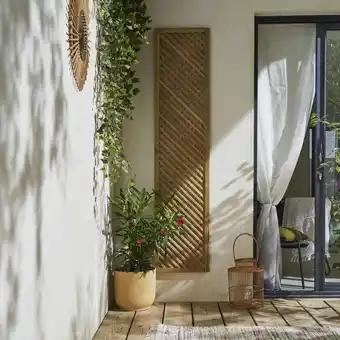 Promotion Exclusives de 23
Treillis : Découvrez l'Offre incontournable