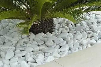 Promotion Exclusives de 1
Galet : Découvrez l'Offre incontournable