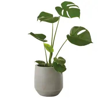 Promotion Exclusives de 5
Aréna : Découvrez l'Offre incontournable