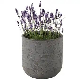 ECLOZ Pot Chester ECLOZ