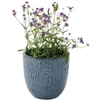 ECLOZ Pot Flower ECLOZ