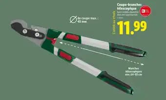 Coupe-branches télescopique