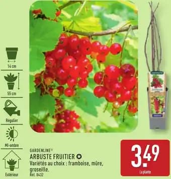 Promotion Exclusives de 2
            
        
        Arbuste fruitier : Découvrez l'Offre incontournable