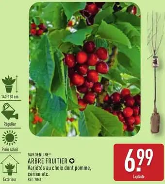 Gardenline arbre fruitier 140 - 180 cm