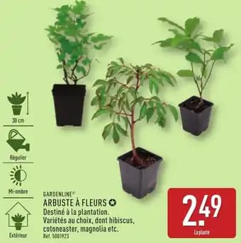 Promotion Exclusives de 2
            
        
        Arbuste à fleurs : Découvrez l'Offre incontournable