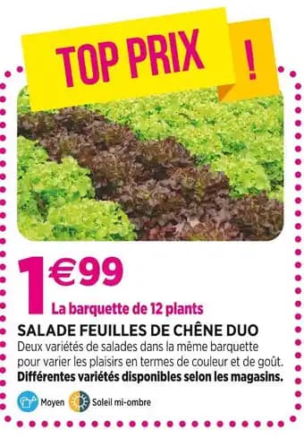 Promotion Exclusives de 38
Salade de : Découvrez l'Offre incontournable