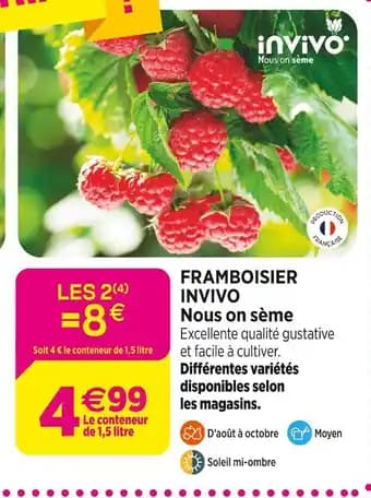 INVIVO Nous on sème Framboisier
