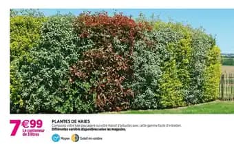 Promotion Exclusives de 71
Haies : Découvrez l'Offre incontournable