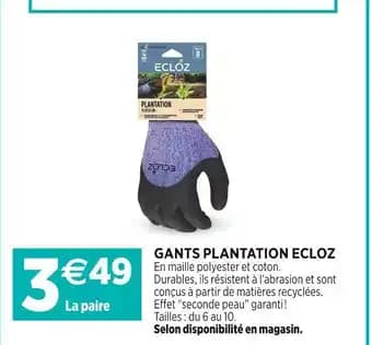 Promotion Exclusives de 23
Plantation : Découvrez l'Offre incontournable