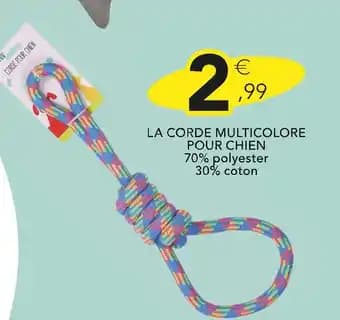 La corde multicolore pour chien