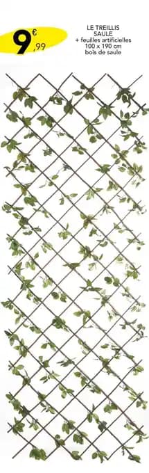 Promotion Exclusives de 30
Treillis : Découvrez l'Offre incontournable