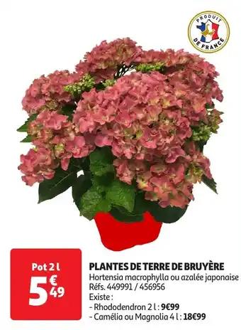 Promotion Exclusives de 27
Bruyère : Découvrez l'Offre incontournable