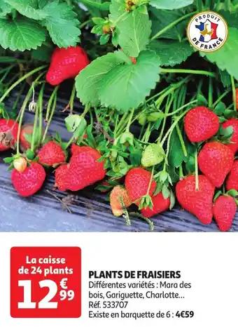 Promotion Exclusives de 22
Plants : Découvrez l'Offre incontournable
