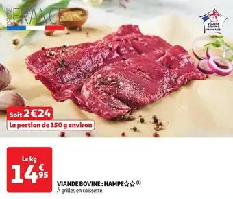 Promotion Exclusives de 1
Hampe : Découvrez l'Offre incontournable