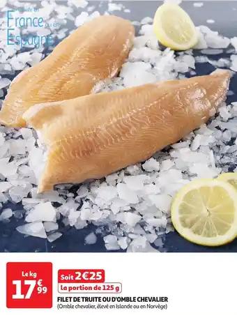 Promotion Exclusives de 2
Filet de truite : Découvrez l'Offre incontournable